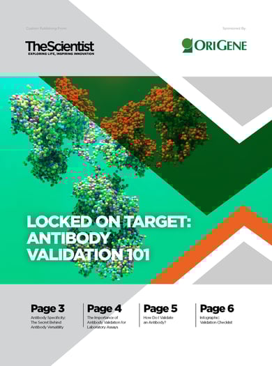 Antibody-101-ebook_Page_1