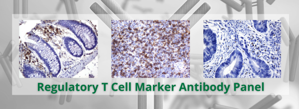 Copy of Immune Checkpoint Antibody Panels Banner Email (2)