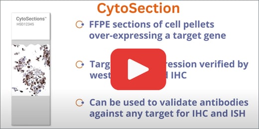 CytoSection-1