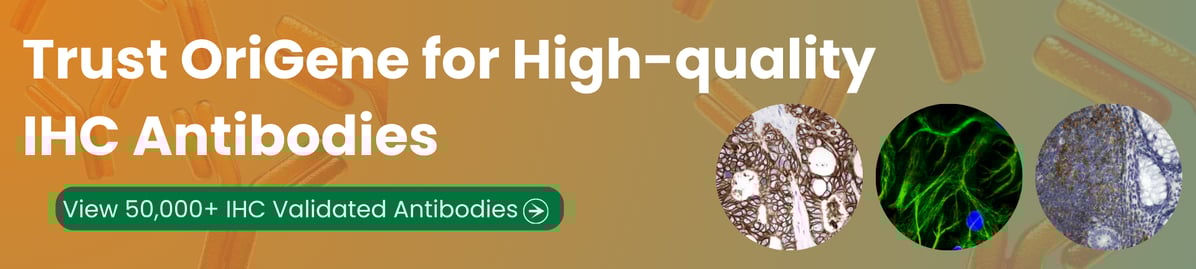 Footer IHC Supplier