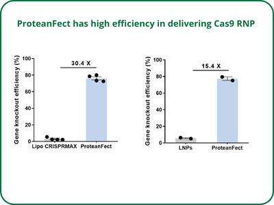 High Efficiency in delivering Cas9 RNP