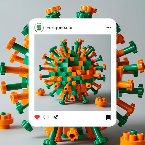 Lenti Lego postcard (550 x 550 px) (2)