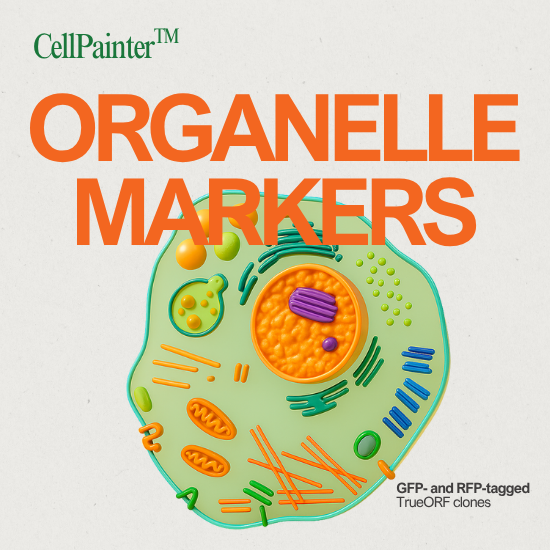 Organelle Marker postcard (550 x 550 px)