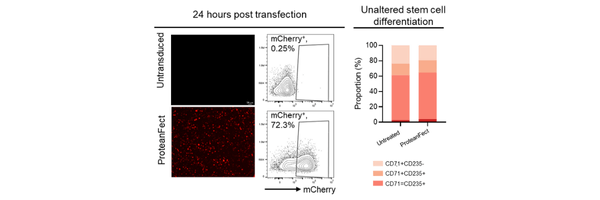 ProteanFect CD34+ hematopoietic stem cells data