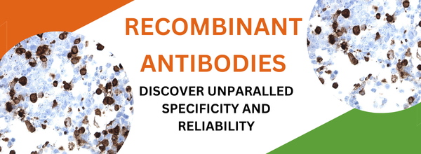 Recombinant Antibodies Email Banner