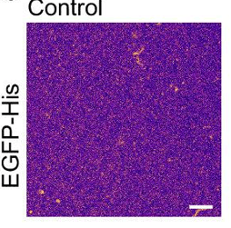 Screenshot 2025-10-09 120355