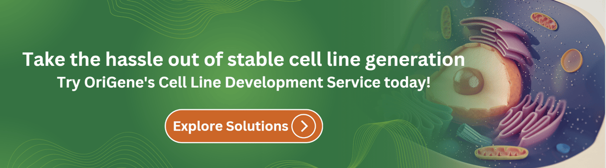 Stable Cell Line Service Banner 