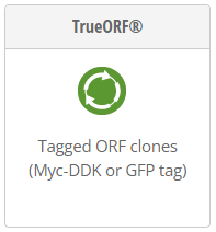 TrueORF