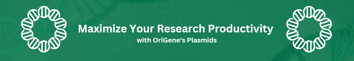 cDNA clones General Banner-1