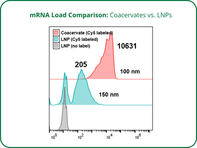 mRNA Load Comparison